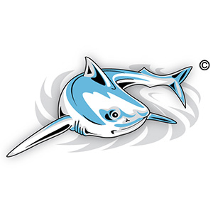 Logo der Kiteschule: ProBoarding Rügen