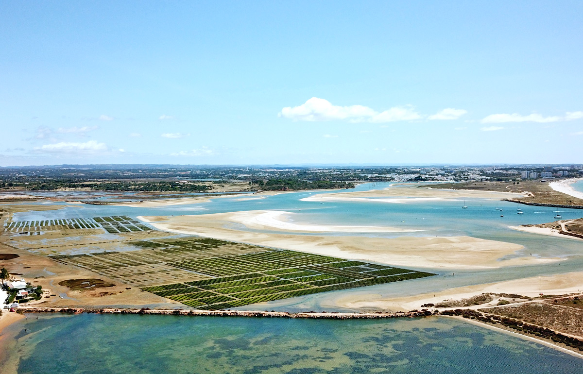 lagune alvor blick über Austernfelder
